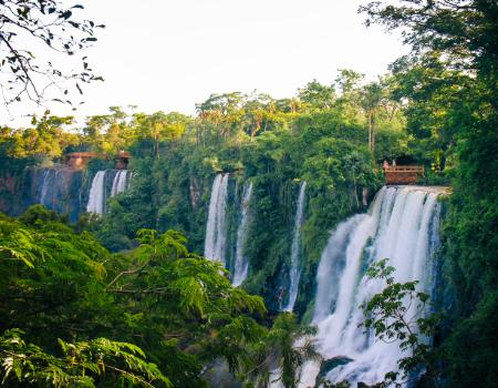 Iguazu Falls framed by lush greenery in Brazil on a classic tour